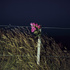 20110118023200-wendy_pye_inmemoryof17