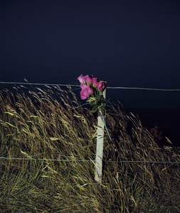 20110118023200-wendy_pye_inmemoryof17