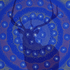 20110118091239-majestic_elk_by_tony_conrad