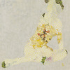 20120325160255-____peony_blossom__2