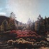 20110118151355-sunset_crater_park_2011__24_x_48_22_
