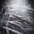 20110118150240-arizona_pinon_tree_roots_2010__36_x_24_22_