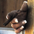 20110118151420-elaine_ranchhandfinal