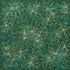 20110118155755-starscape-17_2010_13x13-web