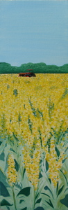 20110119095643-yellow_copy