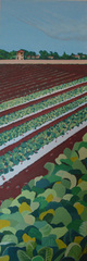 Farming Ends at Seabridge,Illona Battaglia Aguayo