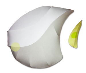 20110119134326-big_tan_white-yellow