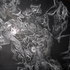 20110119180540-iokh_004