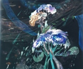 Coma Clusters,Christine Nguyen