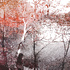 20110120091611-miabythelake