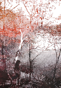 20110120091611-miabythelake