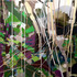 20110121143311-raking_light