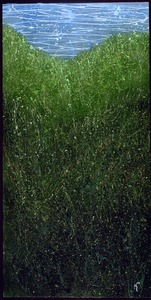 20120201151350-summer_foliage_image__2