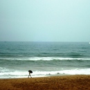 20110121193734-seashore