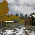 20110122071712-winter_in_the_high_country1