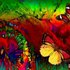 20110122074112-dance_of_the_butterflies