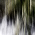 20110122124153-reeds_abstracted300dpi