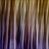 20110122125334-pattern300dpi