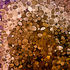 20110122125904-gustav_klimt_realized300dpi