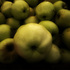 20110122133736-fall_harvest300dpi
