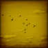 20110122134024-birds300dpi