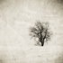 20110122134839-one300dpi