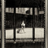 20110122142503-street_scene_through_plastic_300dpi