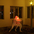 20110123123814-03_reservations_not_necessary