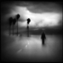 The_approach_4x6
