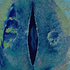 20110125093645-blues_minor__300_