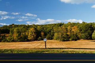 Power Lines,Brandon Neubauer