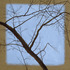 20110125125626-radiant_blue