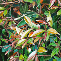 Spring Leaves,Astrid Preston