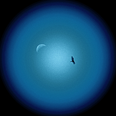 20110125132804-dancing_with_the_moon__300_