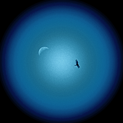 20110125132804-dancing_with_the_moon__300_