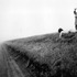 20110125173753-man_drinks_woman_crawls_bw_diffuse_100dpi_7x10