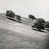 20110224103053-tree_lines__18