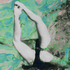 20110126041651-vita_buivid_ornament_06