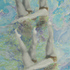 20110126041745-vita_buivid_ornament_08