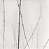 20110224233117-tree_lines__27