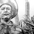 Misnopales