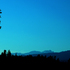 20110126115456-firlorn__300_