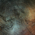 20110126122316-furiant__300_