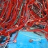 20110126132031-reti_pescatori