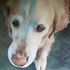 20110128005525-everythinghappensforareason_sm