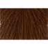20110128105241-backgroundimage