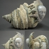 20110128123342-dikareva6sculpture2010