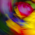 20110128130334-flowers_from_third_date_no