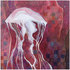 20110128181954-jellyfish1