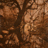 20110128183412-watering